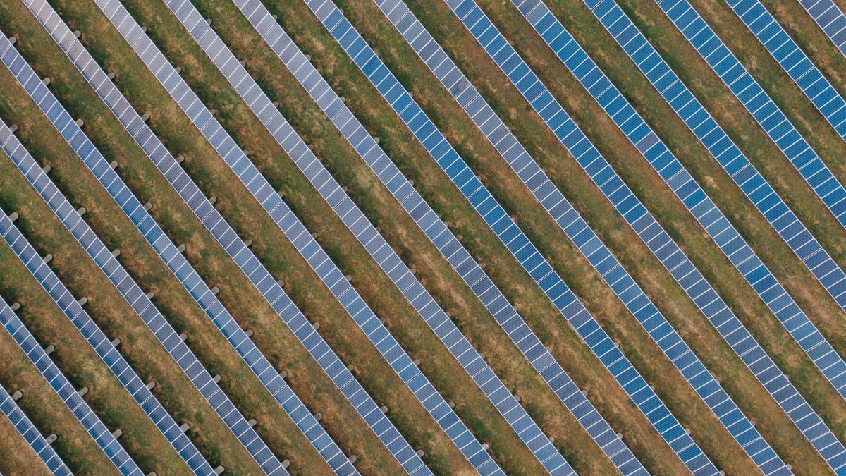 草地に並ぶ太陽光パネルの列